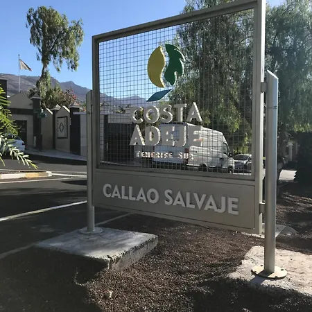 Vistas Costa Adeje וילה *